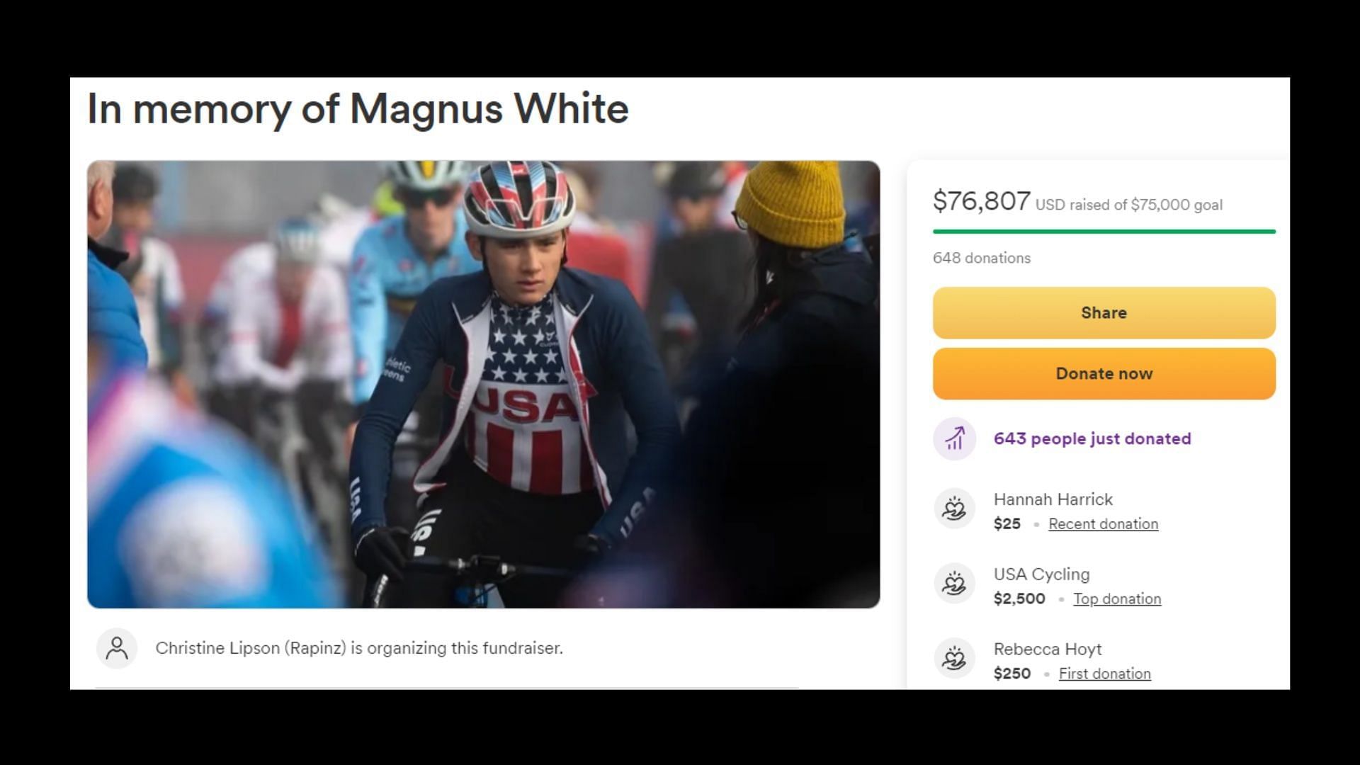 Magnus White&#039;s GoFundMe page (Image via GoFundMe)