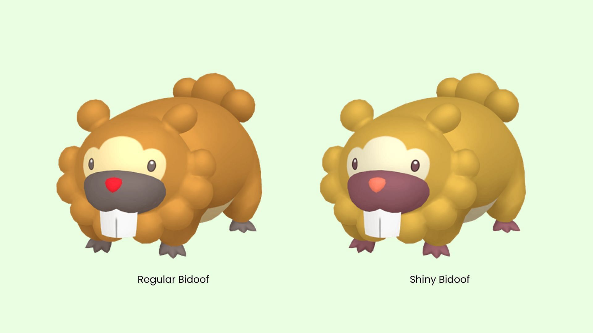 Why is shiny Bidoof so popular in Pokemon GO?