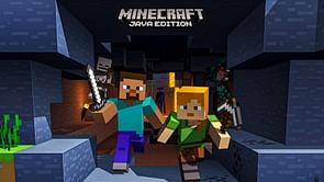 Why was Minecraft written in Java instead of C++?
