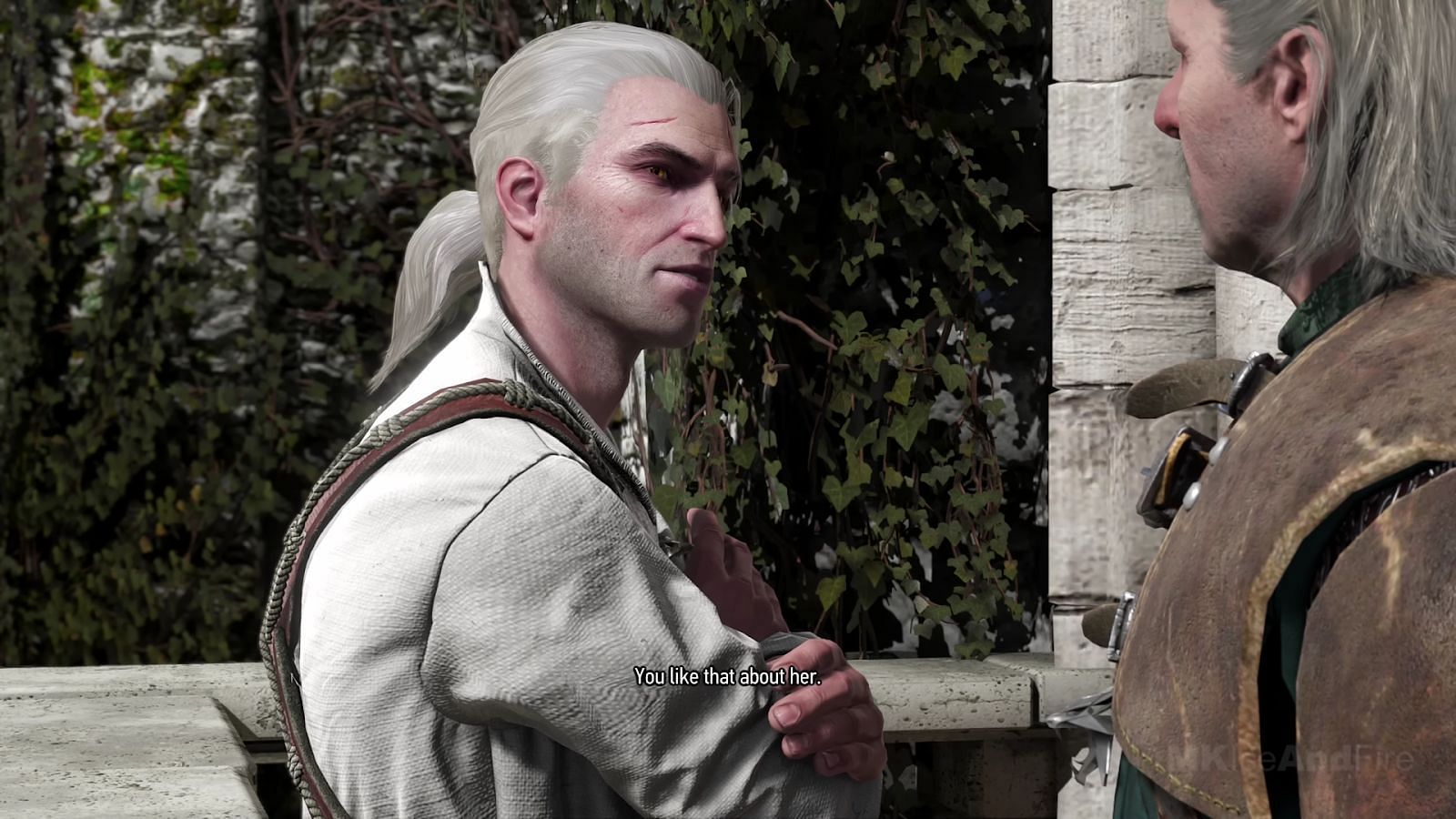 Does The Witcher have a video game?