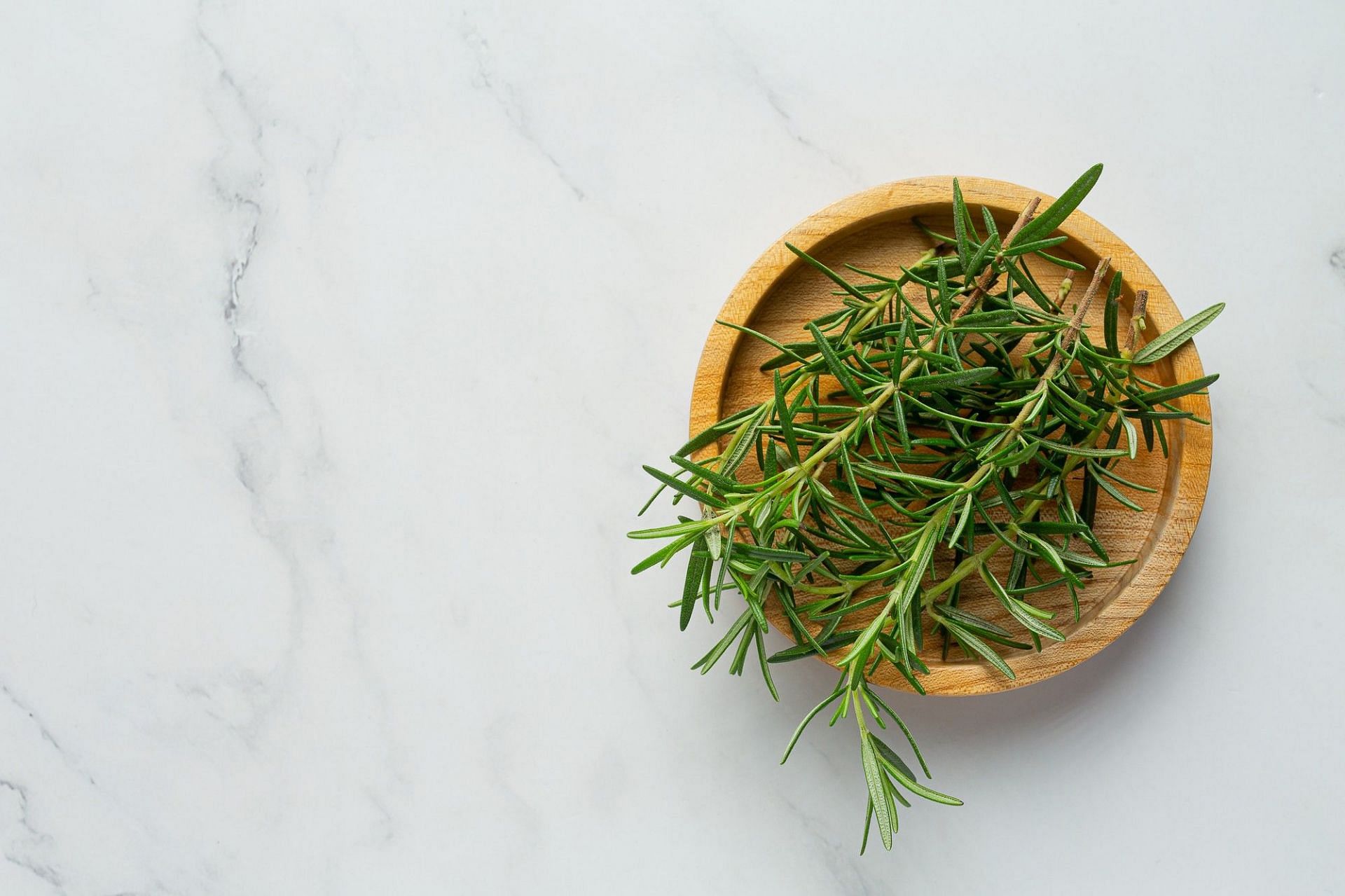 Rosemary reduces bad cholestrol levels. (Photo via Freepik/jcomp)