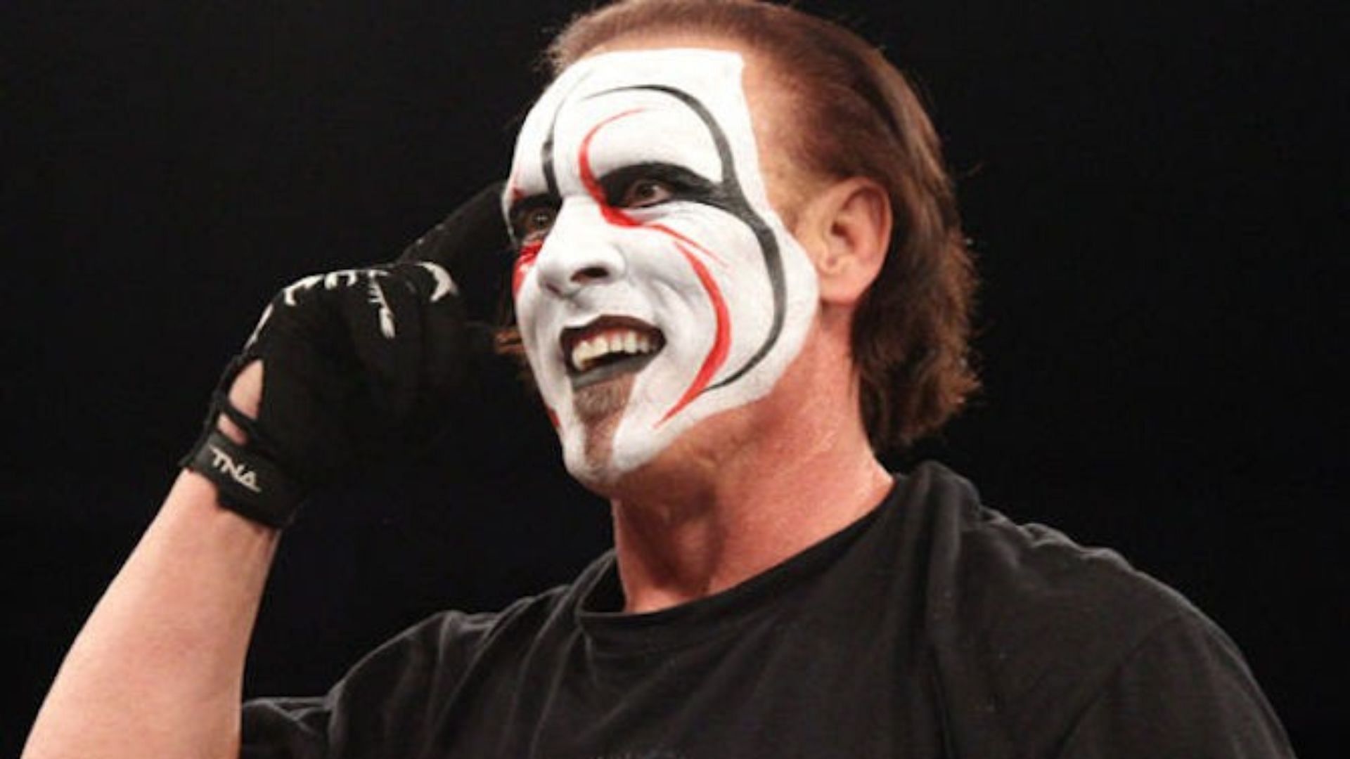 Sting is no stranger to attempting high-risk stunts.