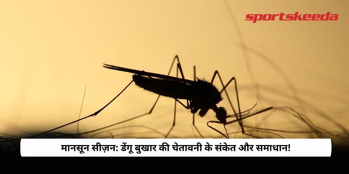 Monsoon Season: Dengue fever warning signs and solutions!
