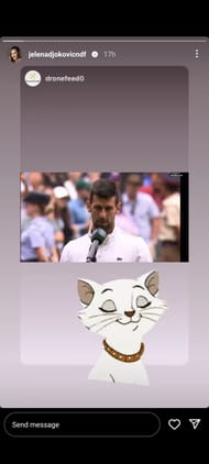 Jelena Djokovic's Instagram story