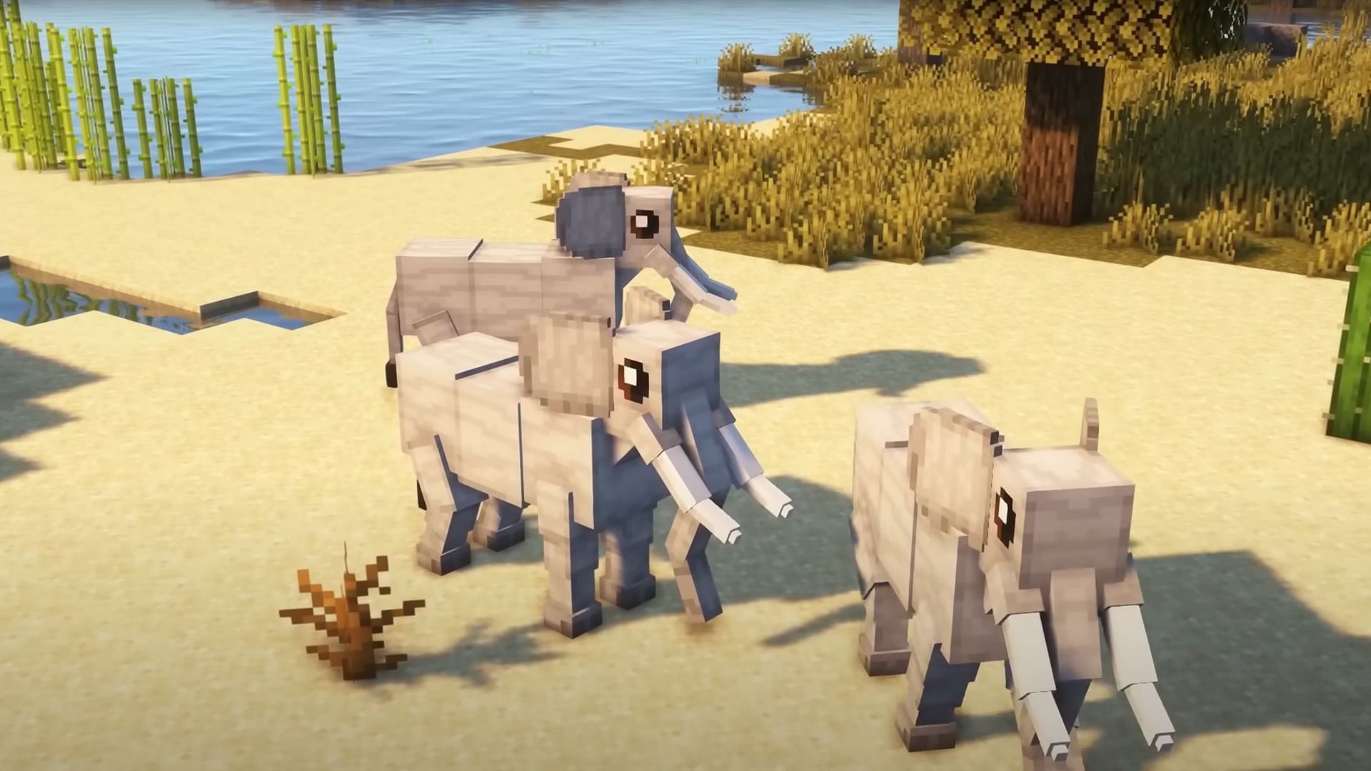 Minecraft 1.20 update coming in 2023, and the Fauna Faire hits