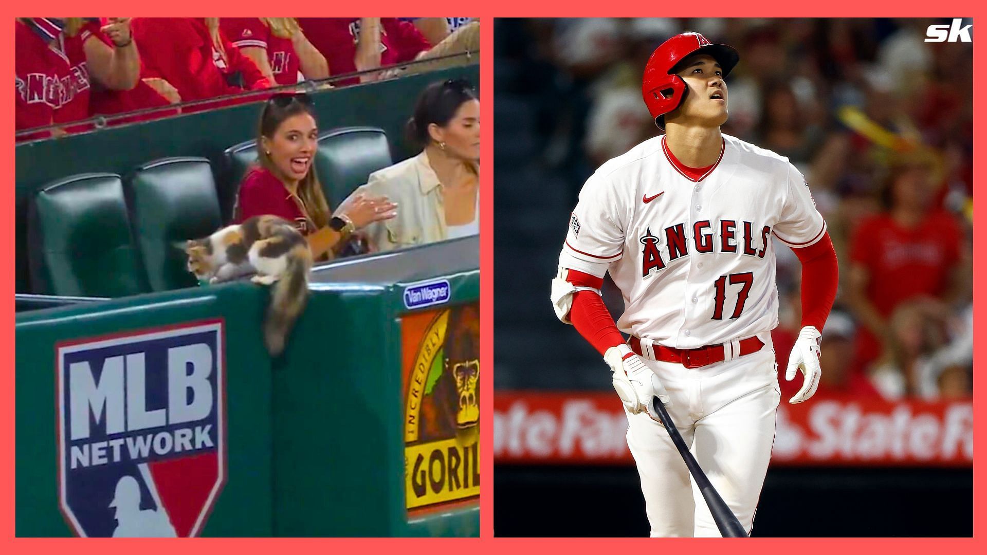 Rally Cat runs to bleachers; Shohei Ohtani hits 30th HR of the season