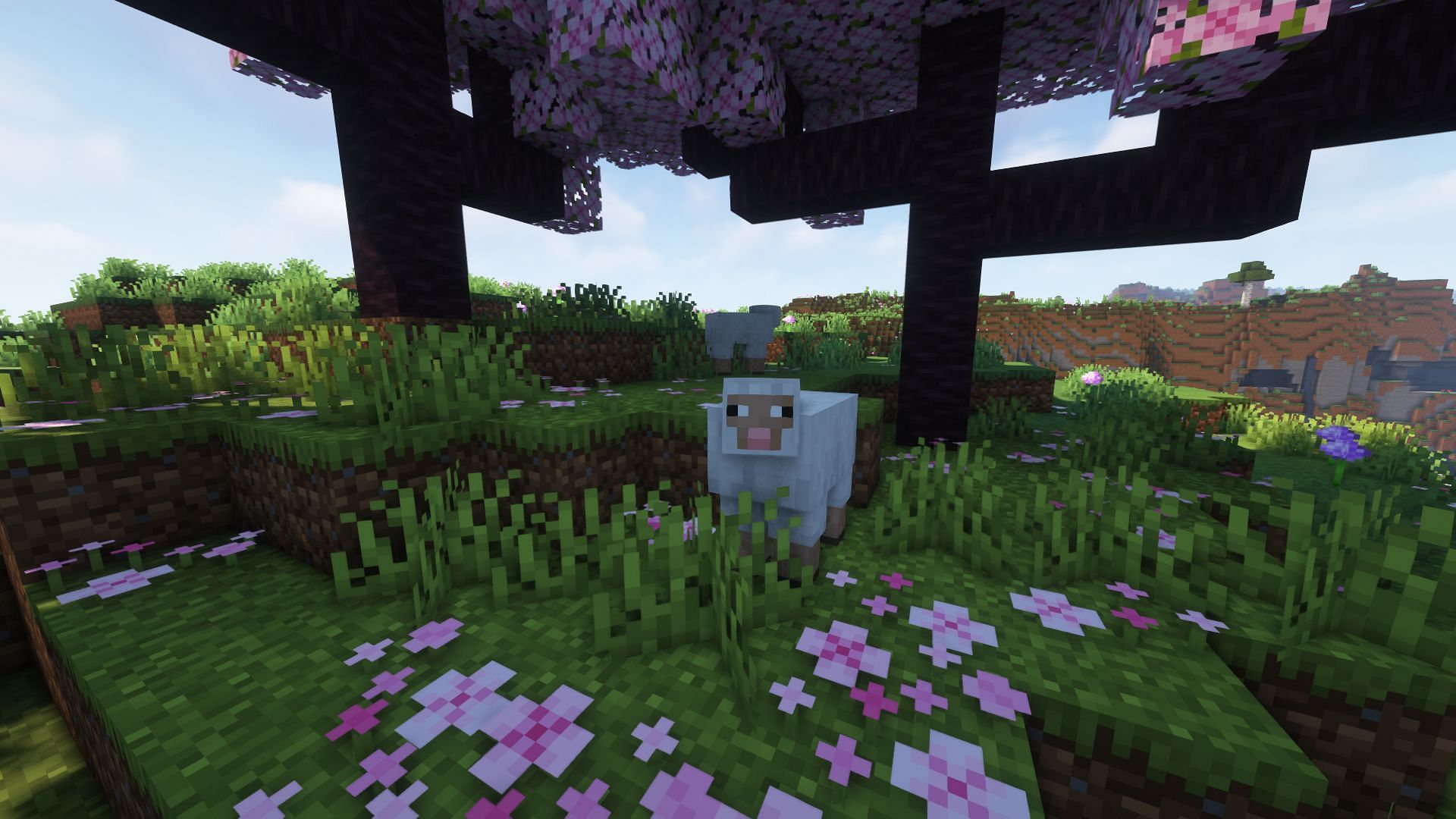 Cherry Grove is the brand new biome coming to the Minecraft 1.20 update (Image via Mojang)