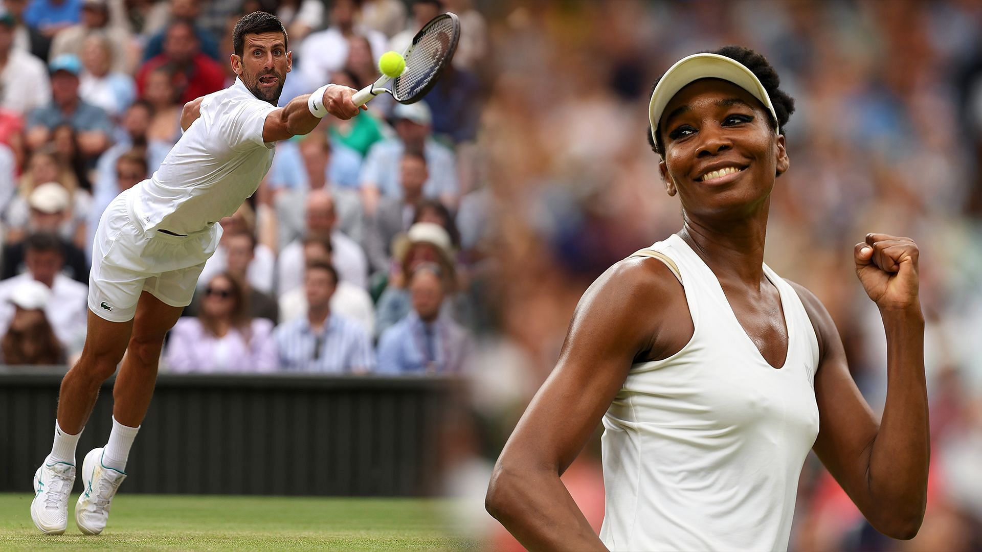 Venus Williams spoke out on Novak Djokovic