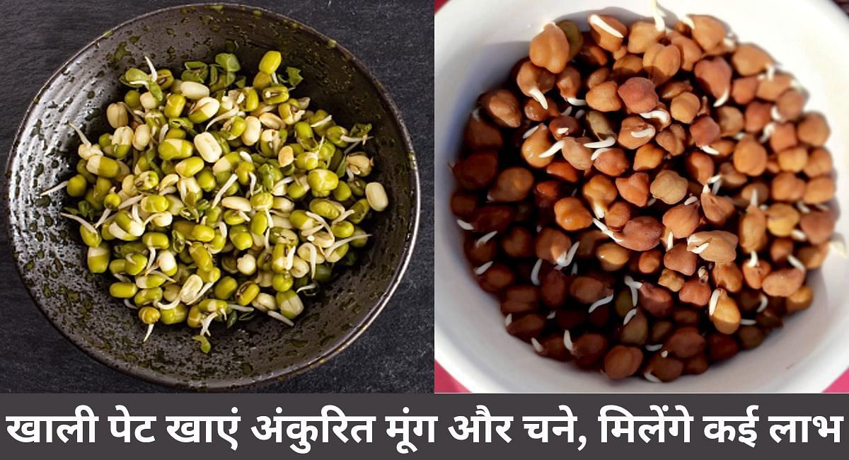 खाली पेट खाएं अंकुरित मूंग और चने, मिलेंगे कई लाभ(फोटो-Sportskeeda hindi)