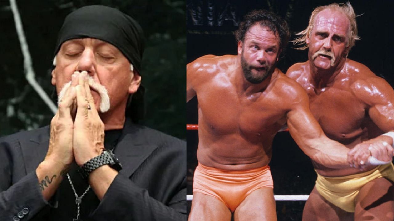 Hogan and Savage were arch-rivals once