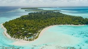 “We have tried to adapt to the site and to the environment” - Olympic Surfing committee on infrastructural developments in Tahiti ahead of 2024