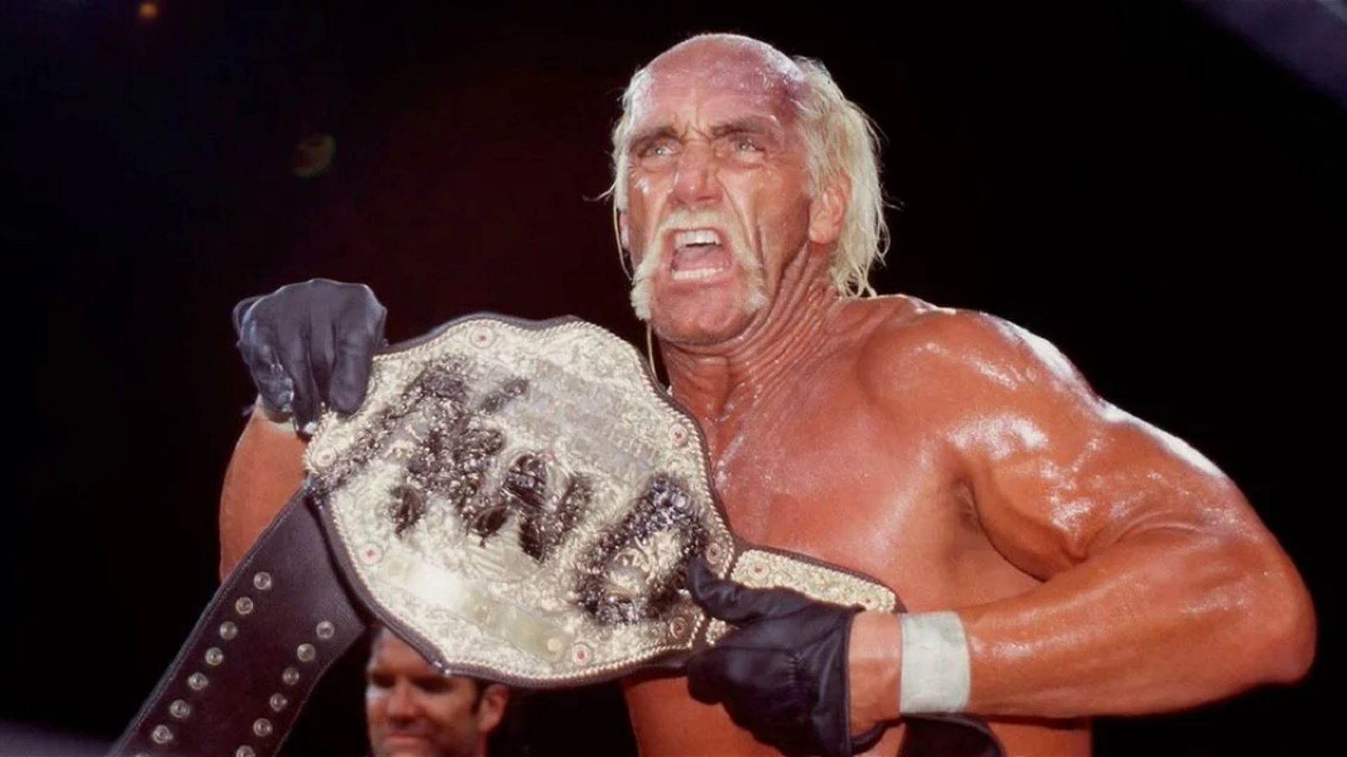 Two-time WWE Hall of Famer Hulk Hogan