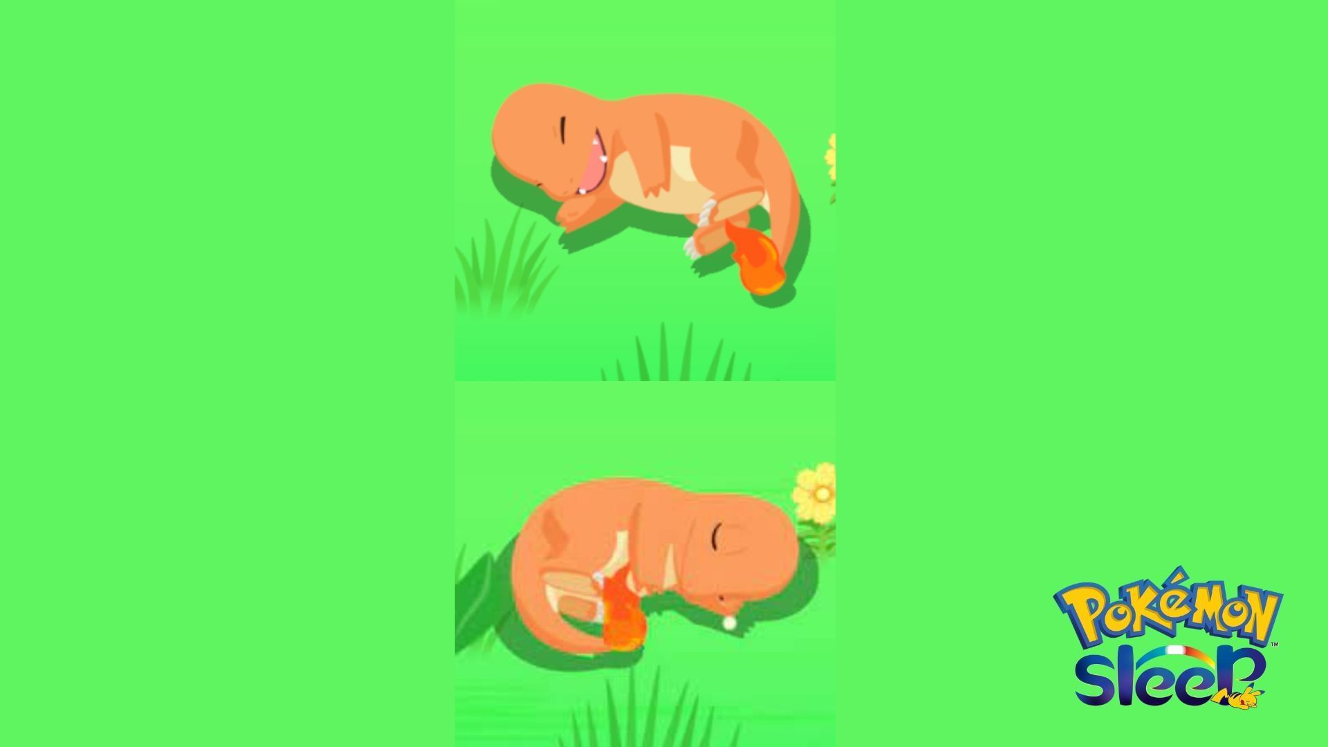 Charmander Sleep Style (Image via SELECT BUTTON)