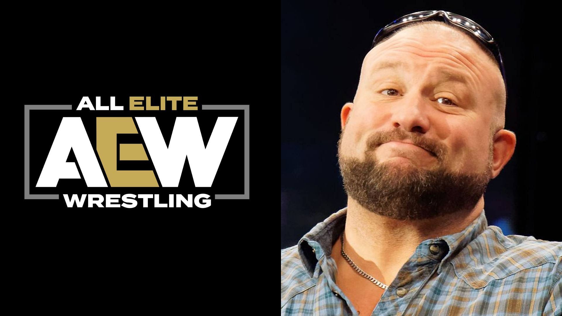 Bully Ray is a WWE Hall of Famer