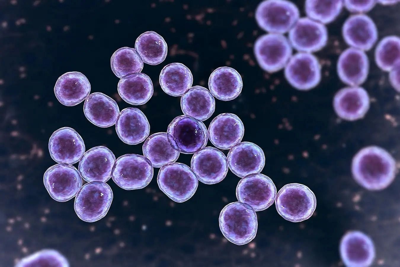 Methicillin-Resistant Staphylococcus Aureus (Image via Getty Images)