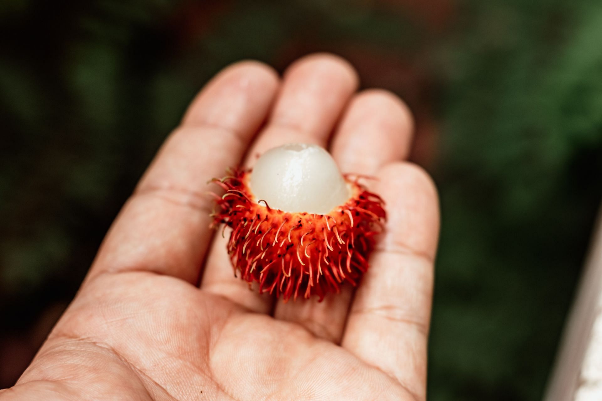 Rambutan benefits in relieving muscle cramps. (Image via Unsplash/ Kawe Rodrigues)