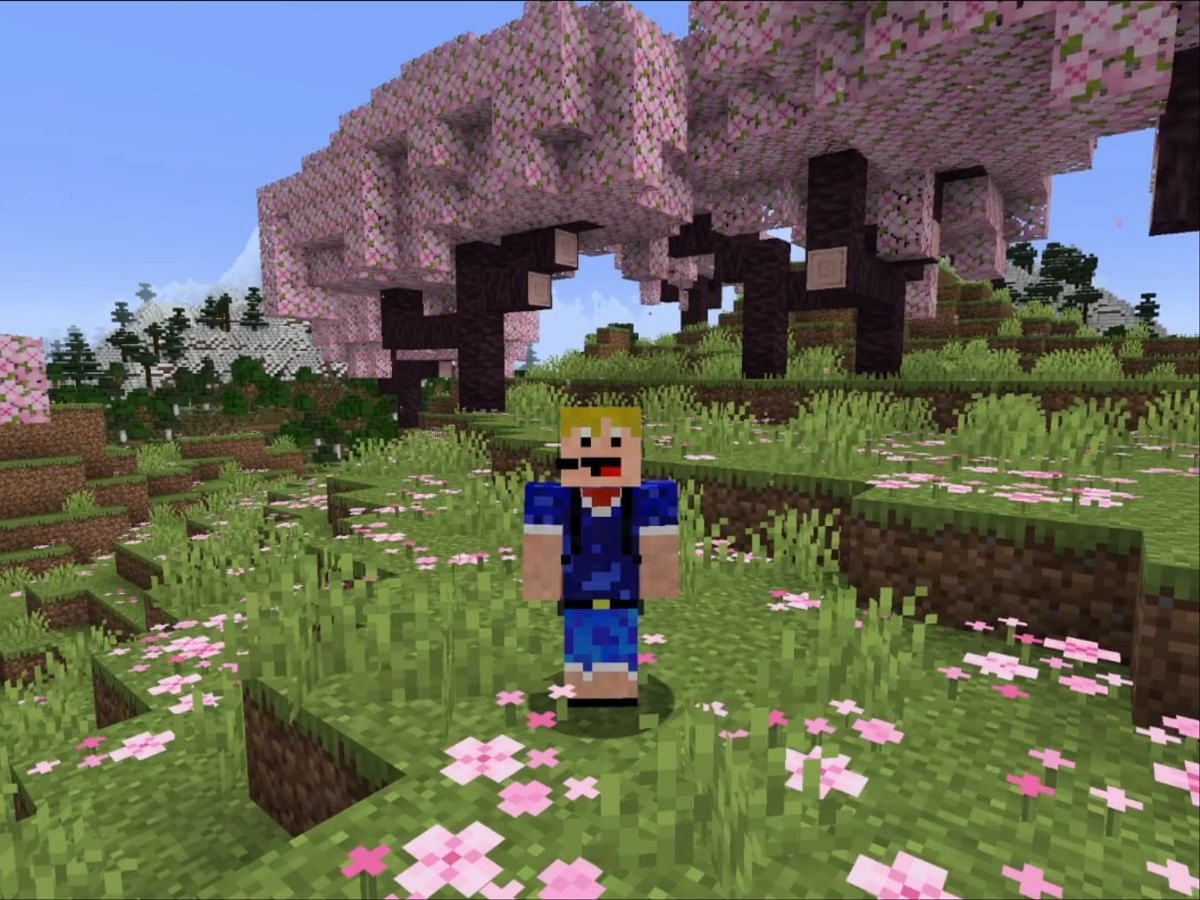 gamers don't die, they respawn — Cherry Blossom Biome comes to