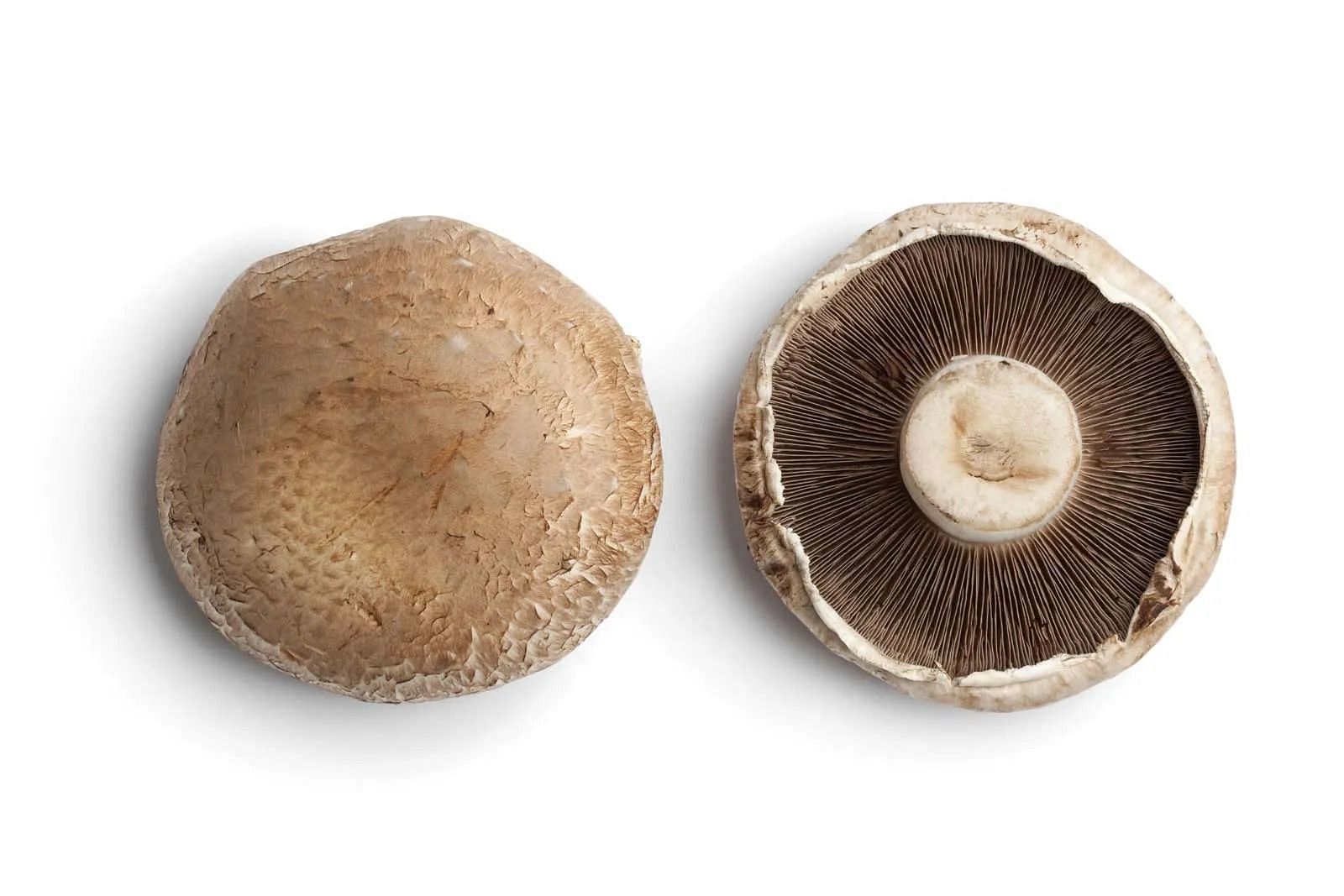 Portobello-mushrooms (Image via Getty Images)