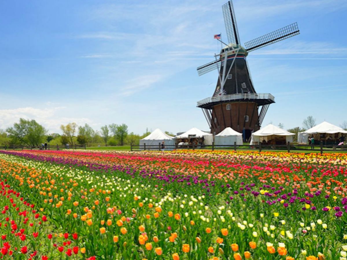 Windmill Island Gardens (Image via Bridge Michigan)