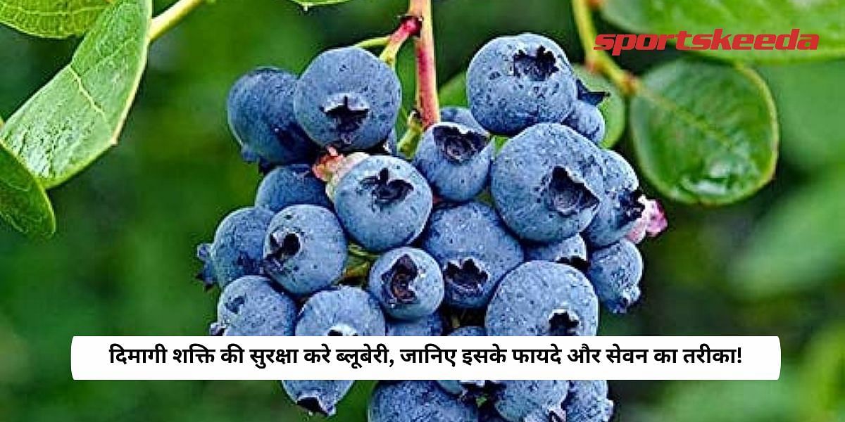 Blueberry protects brain power, know its benefits and method of consumption!