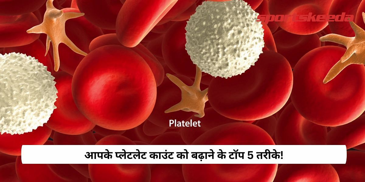 Top 5 ways to increase your platelet counts!