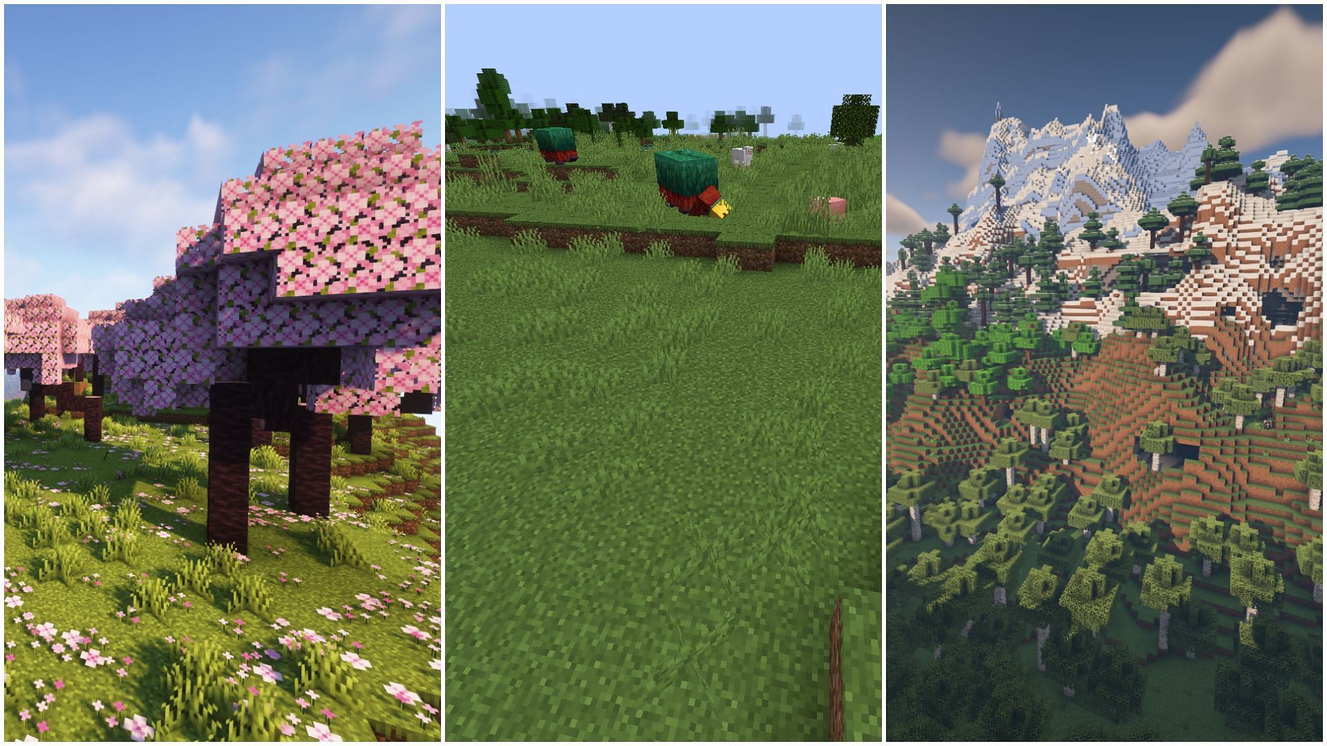 There are loads of great biomes in Minecraft (Image via Sportskeeda)