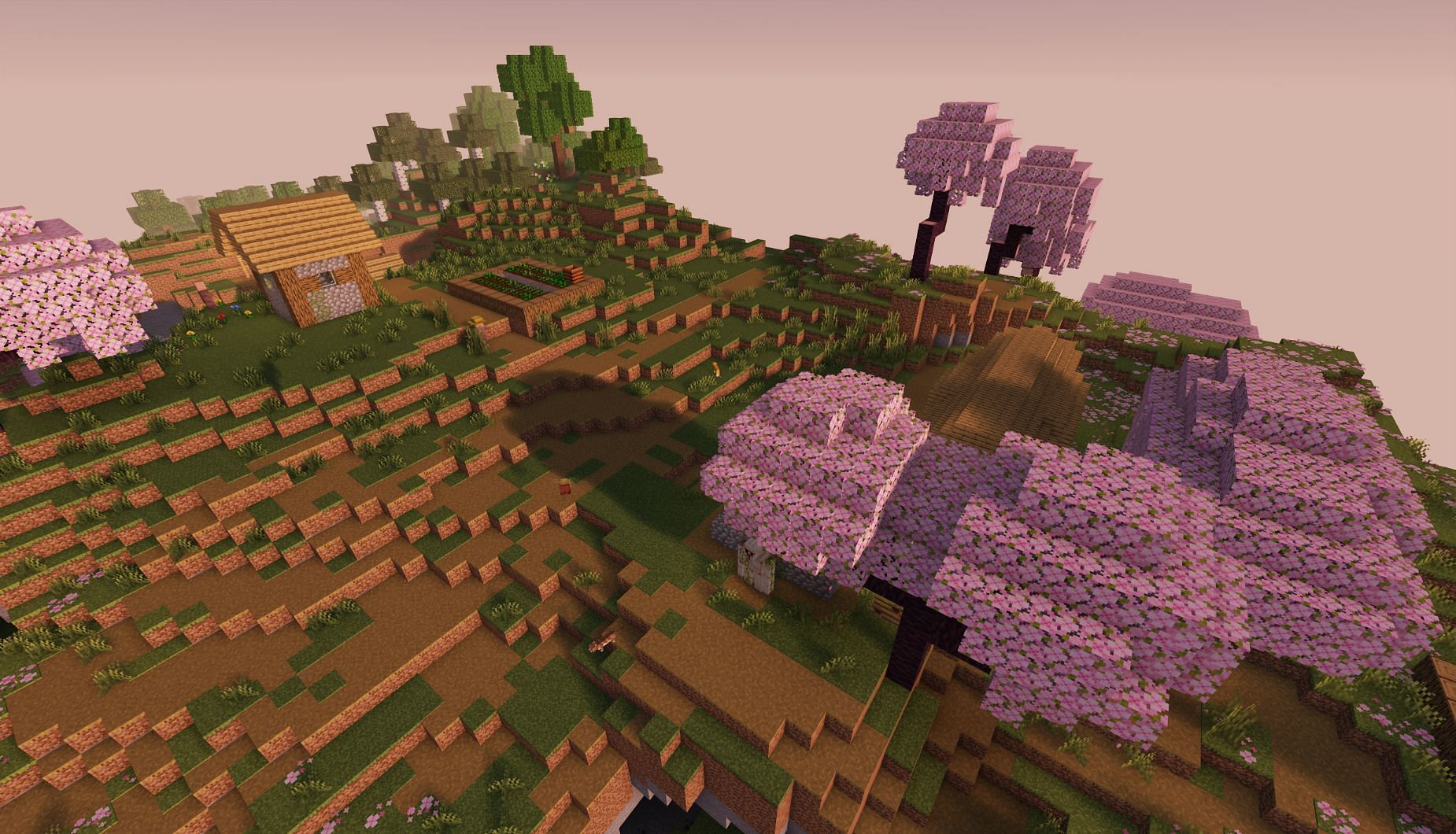Village in cherry grove (Image via Mojang Studios)