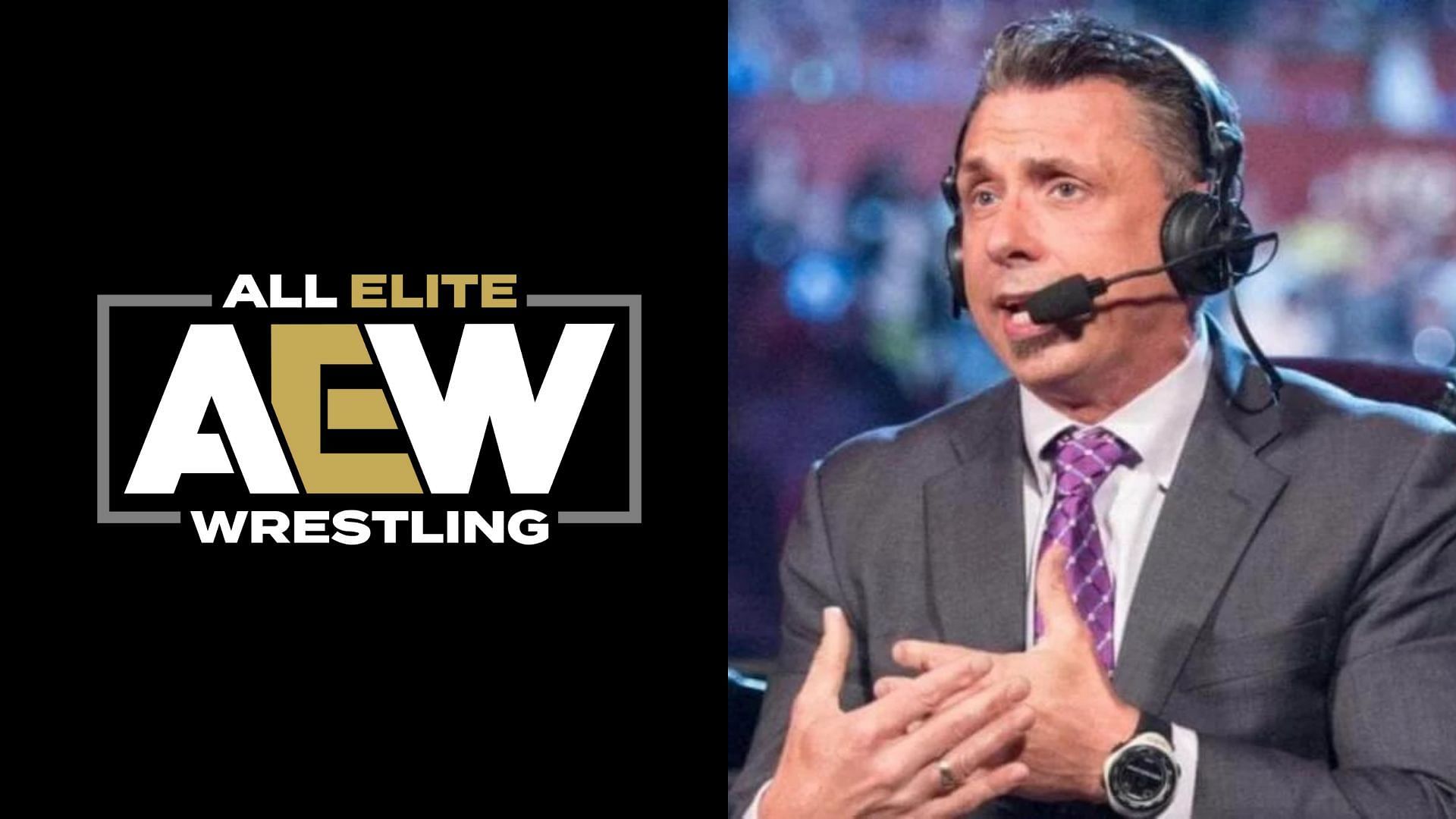 Michael Cole is a long-time WWE Commentator