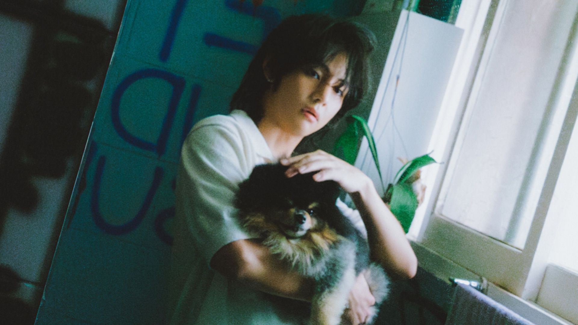 BTS's V's dog Yeontan debuts in his solo song Rainy Days - But is