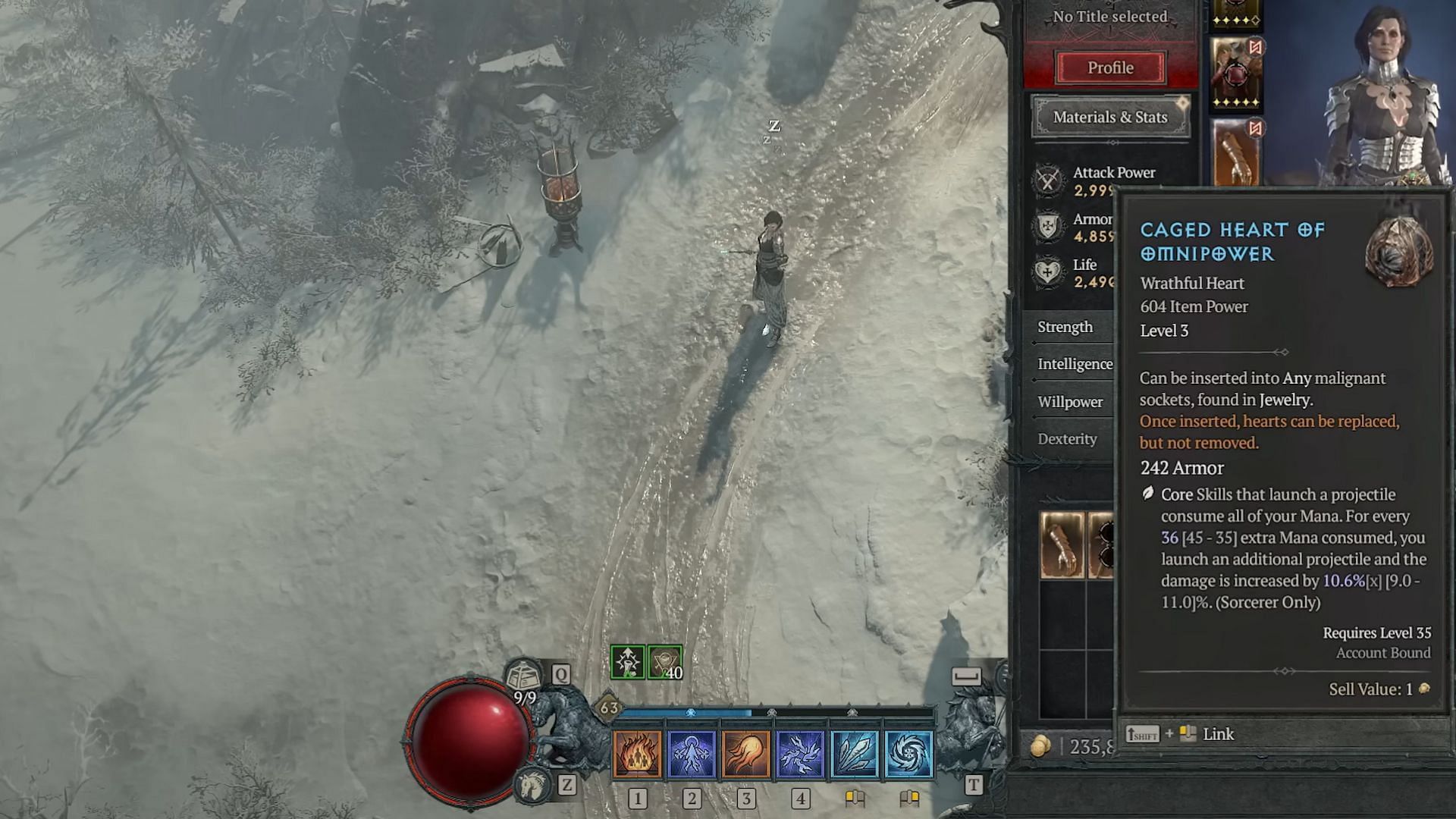 This heart is ideal for the Frozen Orb build (Image via Diablo 4)
