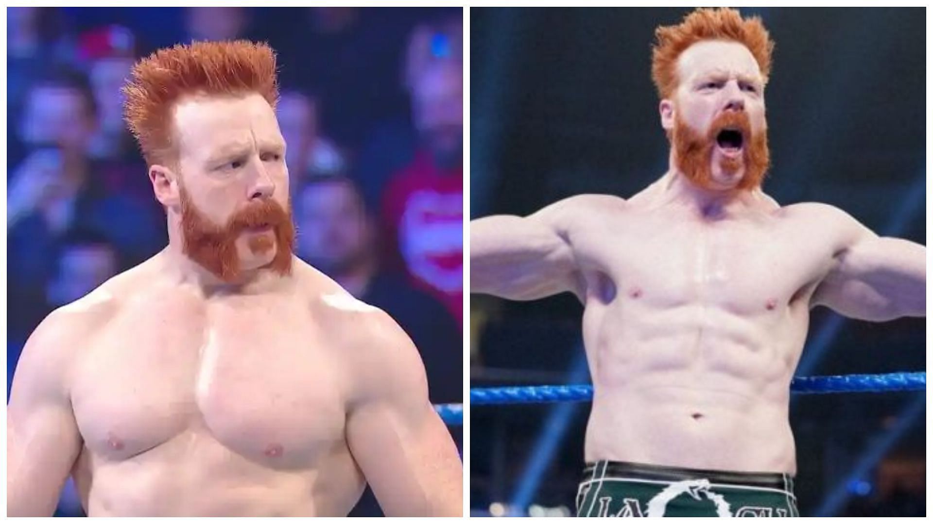 Sheamus is a former WWE Champion.