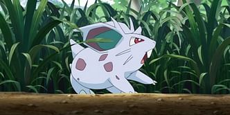Pokemon GO Shadow Nidoran (Female) raid guide: Best counters, weaknesses, and more
