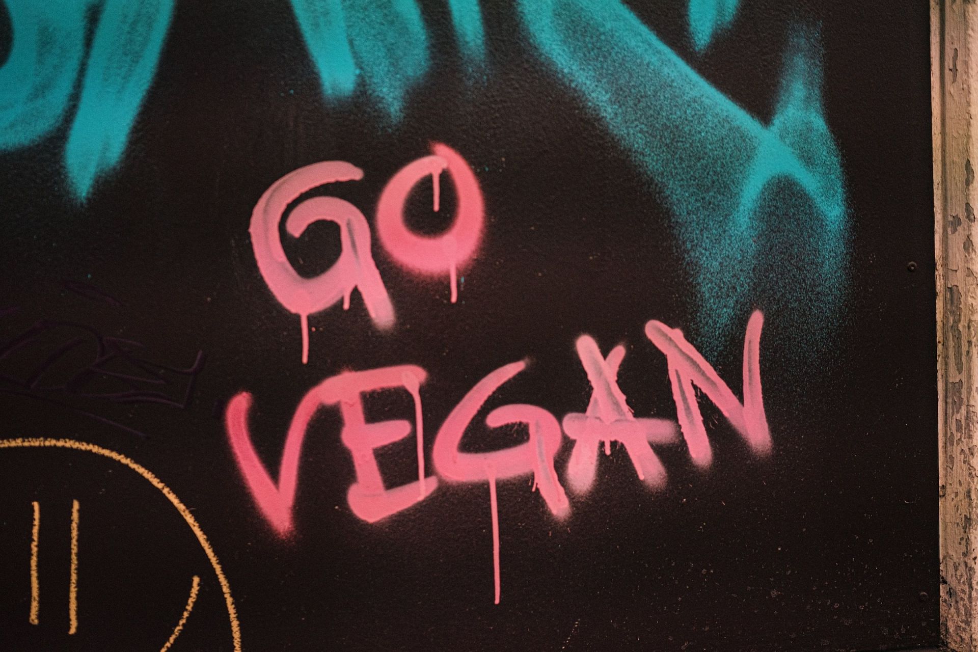 A vegan diet can deprive you of several essential nutrients. (Image via Unsplash/Claudio Schwarz)