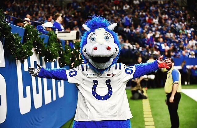 Indianapolis Colts mascot - Blue