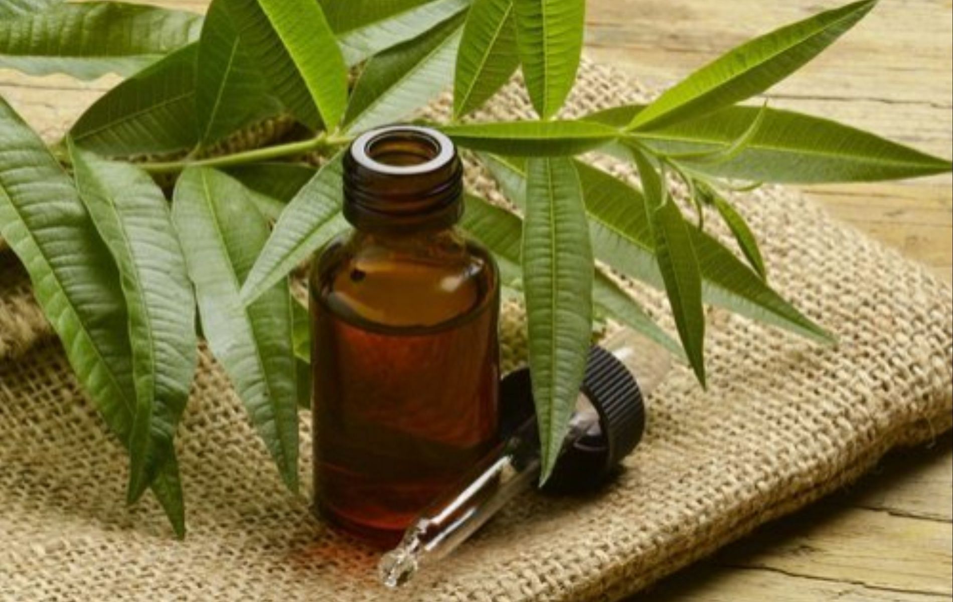 Tea tree oil is one of the most potent essential oils for congestion (Image via aseschem)