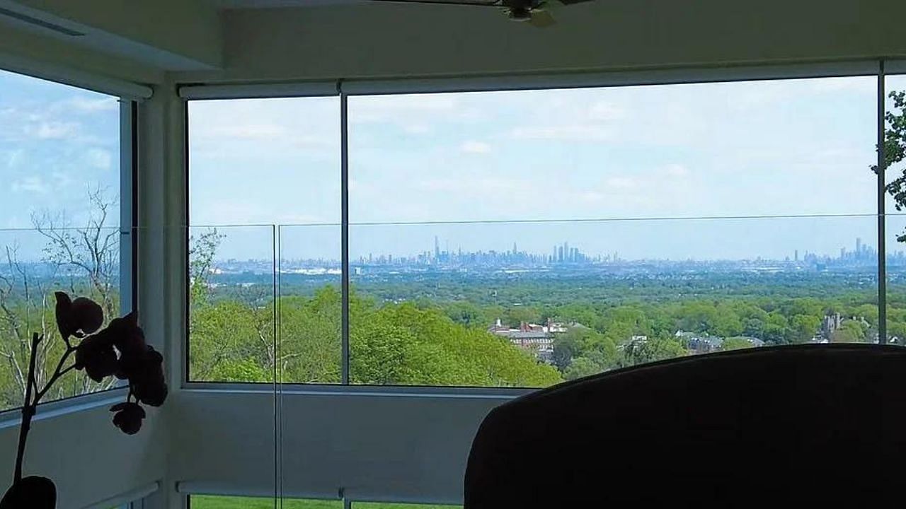 View of the NYC skyline from the mansion. Credit: The Daily Mail