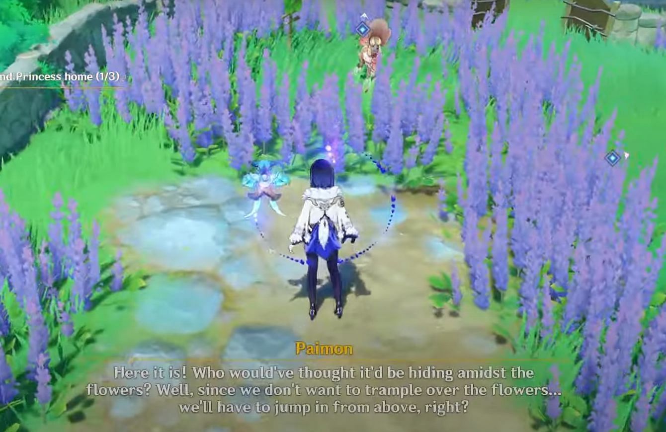 Prince and Princess location (Image via YouTube/KyoStinV)