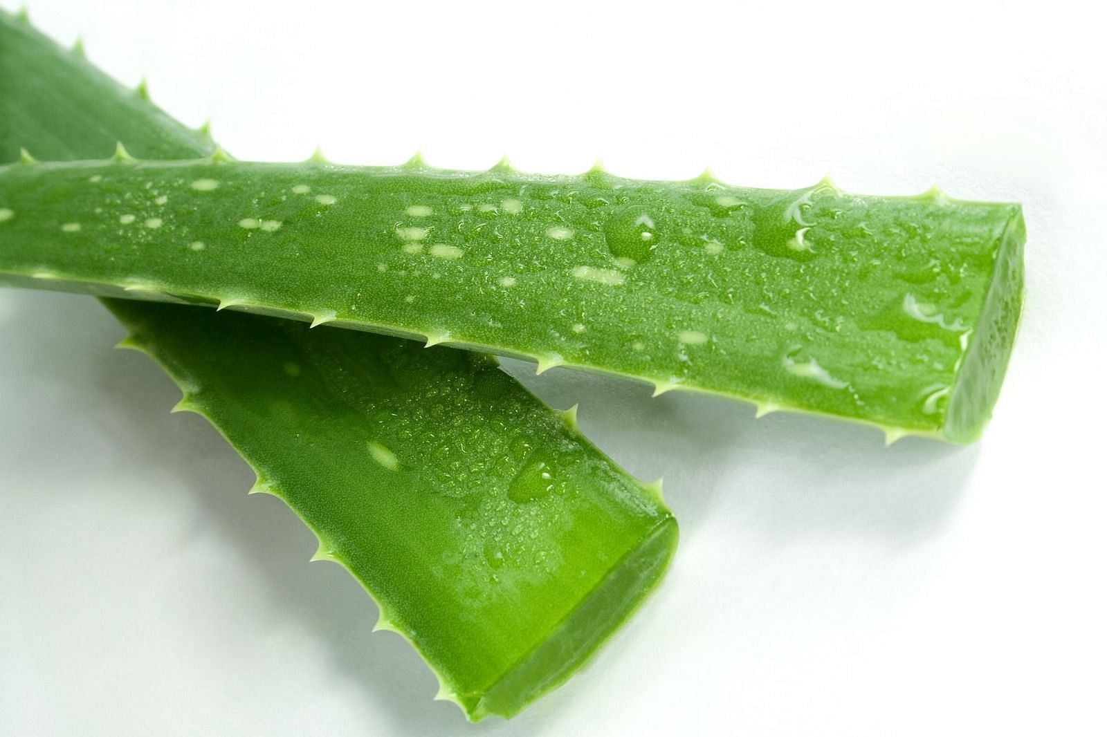 Medicinal benefits of aloe vera gel (Image via Getty Images)