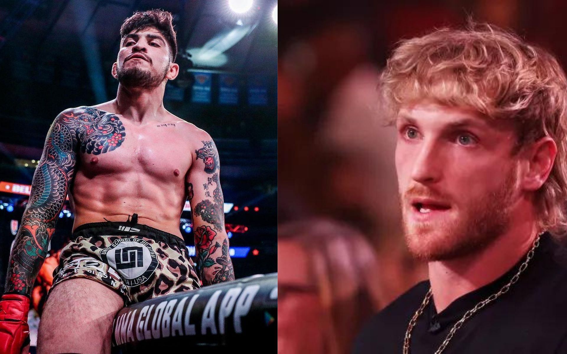 Dillon Danis, Logan Paul (Image Courtesy - The Sun)