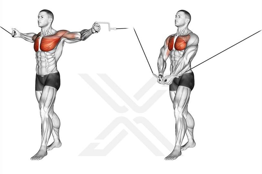 Build your pecs with standing cable fly: A strengthening exercise for  bigger and stronger chest
