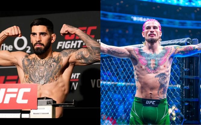 Ilia Topuria doesn’t hold back, labels UFC champ Sean O’Malley a ‘dog’ in fiery exchange
