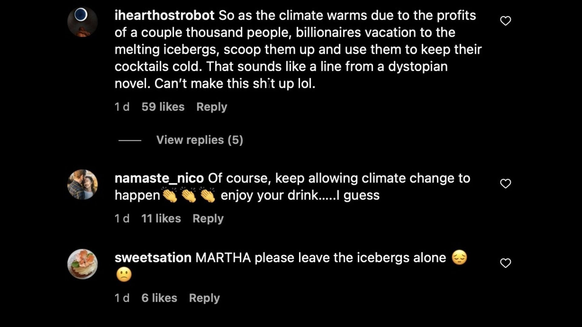 Fans call out rich people and urge Martha to leave the icebergs alone. (Images via Instagram/@marthasrewart48)