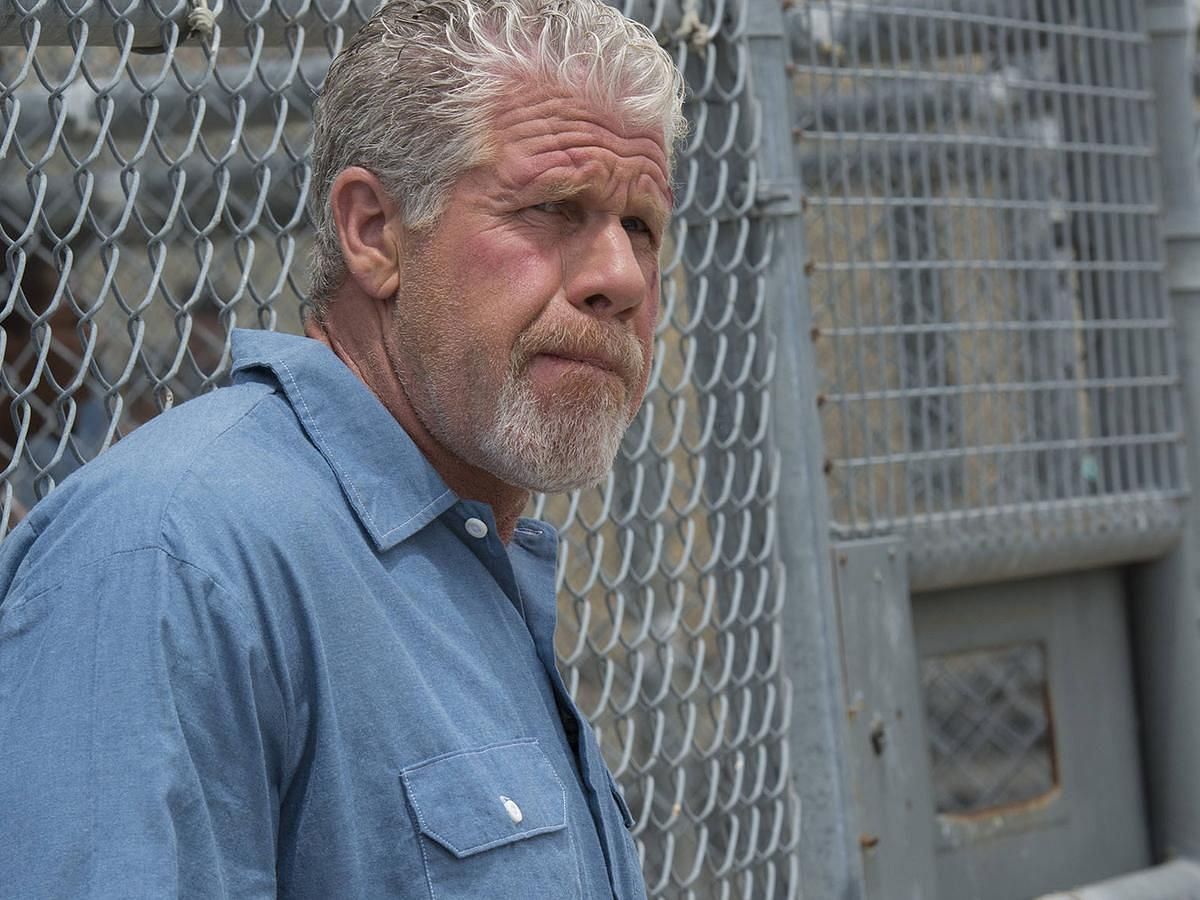 A still of Ron Perlman (Image via WNYC)