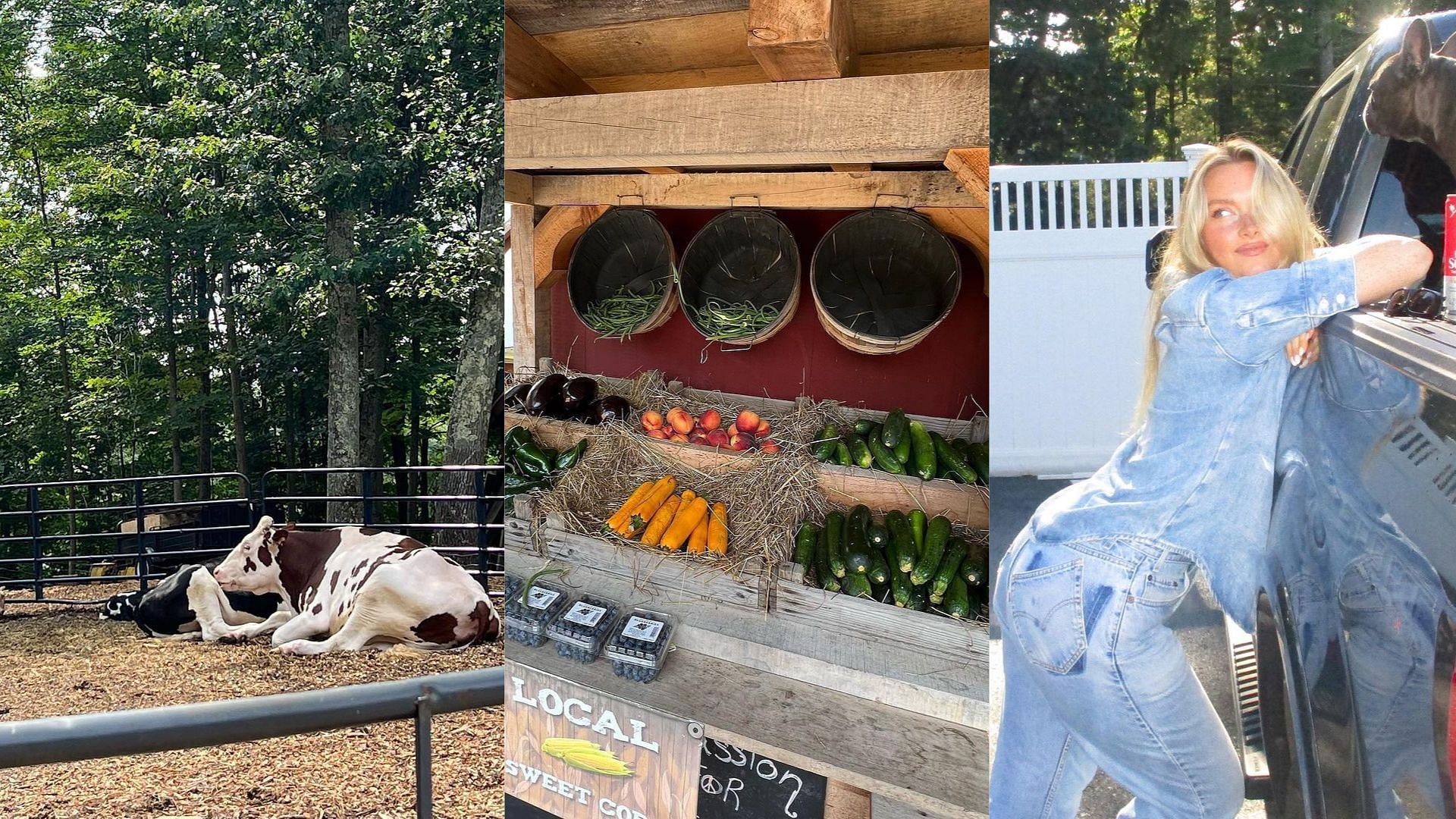 Camille showed her fans the fresh produce and animals on the farms she visited.