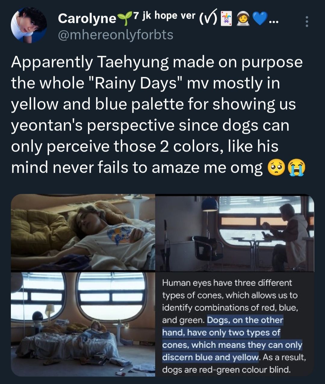 V of BTS and Yeontan give artistic touch in the cozy 'Rainy Days