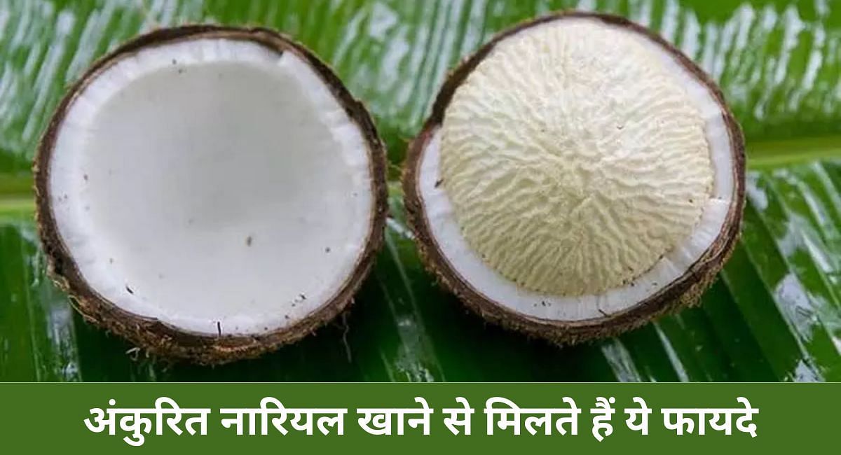 अंकुरित नारियल खाने से मिलते हैं ये फायदे(फोटो-Sportskeeda hindi)