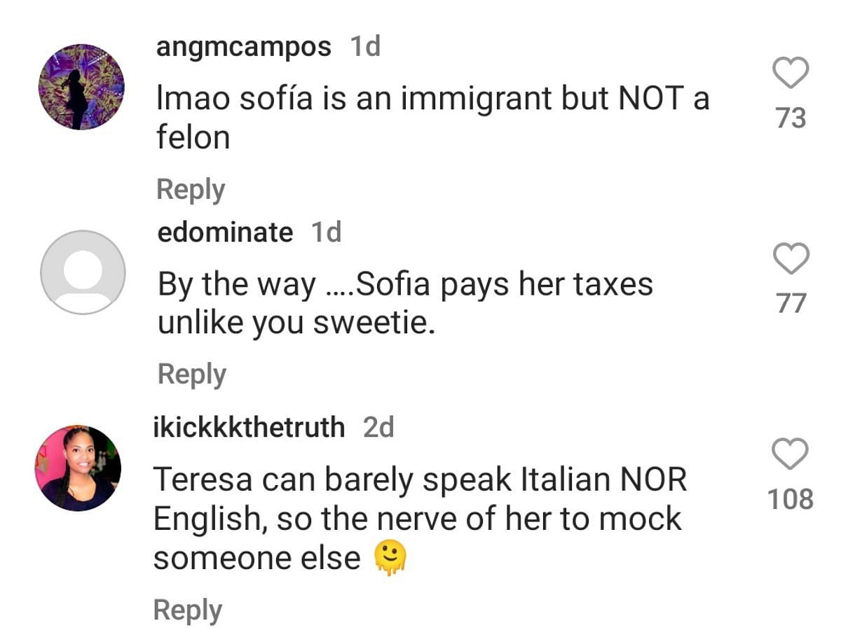 Fans react to Teresa Giudice&#039;s comments about Sofia Vergara (Image via Instagram)