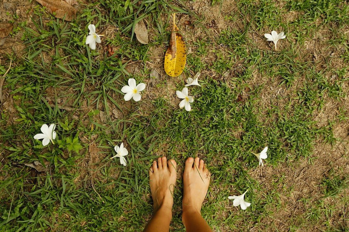 Among the different barefoot walking surfaces, grass stands out as a particularly useful and delightful option. (Alexey Demidov/ Pexels)