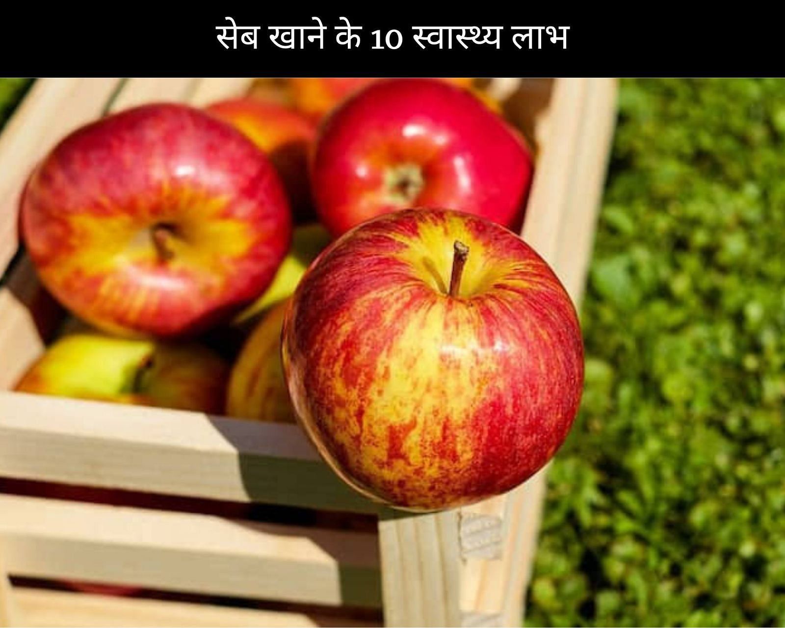 सेब खाने के 10 स्वास्थ्य लाभ (फोटो - sportskeedaहिन्दी)