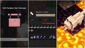 Minecraft player discuss features they would like to be removed